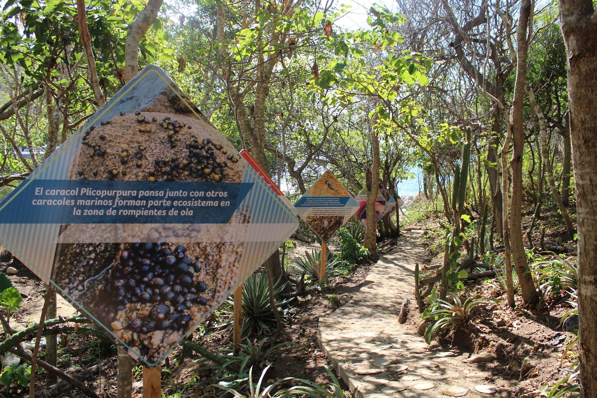 Isla Natura Beach Huatulco Санта-Крус-Хуатулко Экстерьер фото